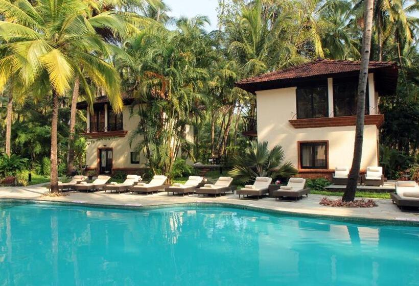 هتل Coconut Creek Resort   Dabolim Airport