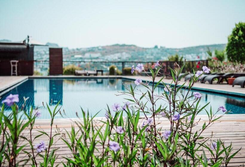 Costa Farilya Special Class Hotel Bodrum