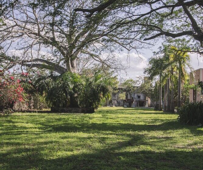 Fotos del hotel Hacienda Santuario Noc Ac, All Activities & Meeals Inclusive:  23