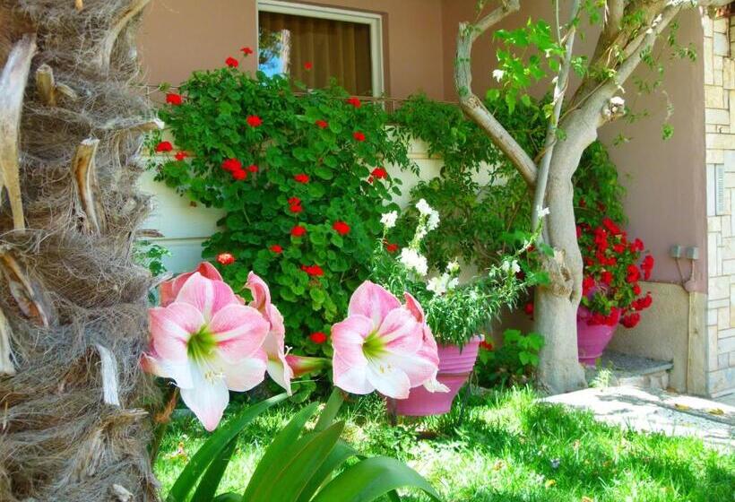 Sun Rise Hotel Apartments