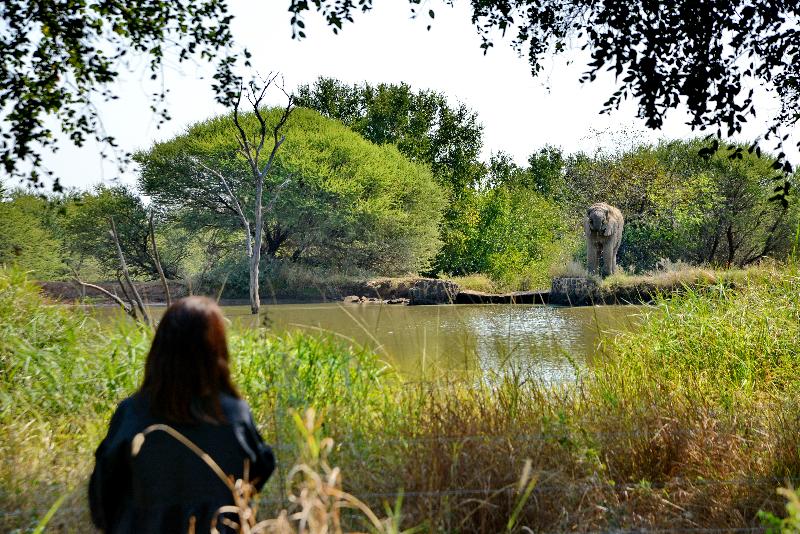 هتل Black Rhino Game Lodge