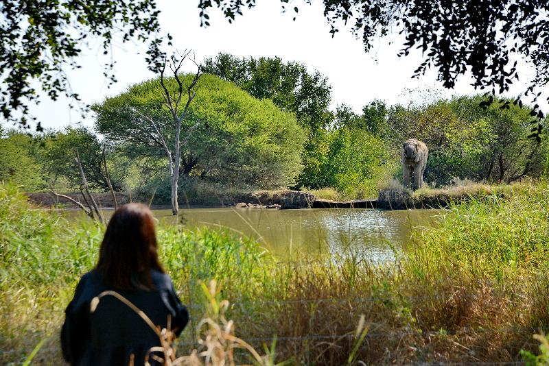 Hotel Black Rhino Game Lodge