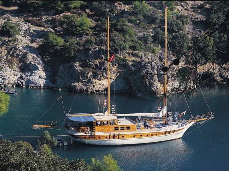 בית מלון כפרי Blessed With Love Of Aphrodite