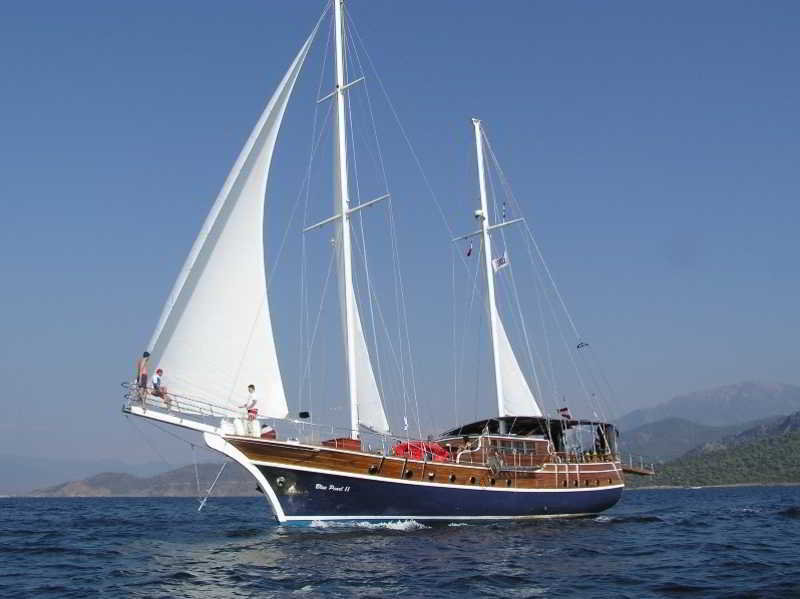 בית מלון כפרי Blessed With Love Of Aphrodite