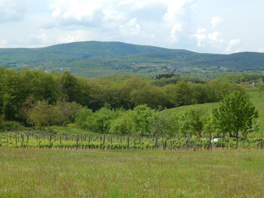 ホテル Fullino Nero Rta Residenza Turistico Alberghiera
