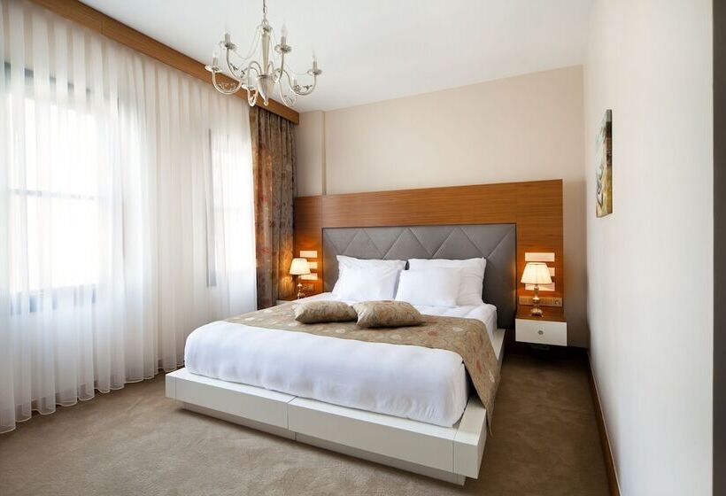 Fotos del hotel Gravis Suites:  5