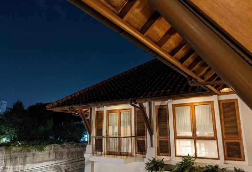 Fotos del hotel Villa Damar Boutique:  14