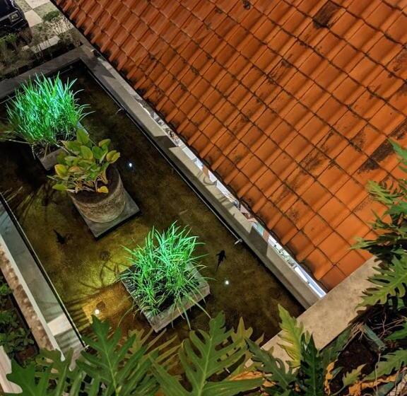 Fotos del hotel Villa Damar Boutique:  2