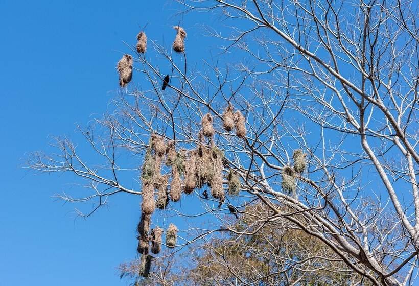 هتل Village Cataratas