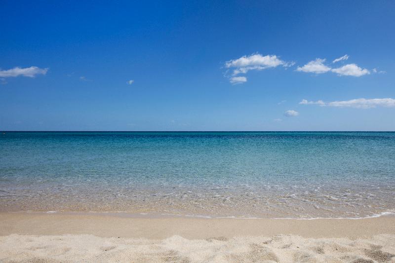 Fotos del hotel Le Spiagge Di San Pietro Resort:  39