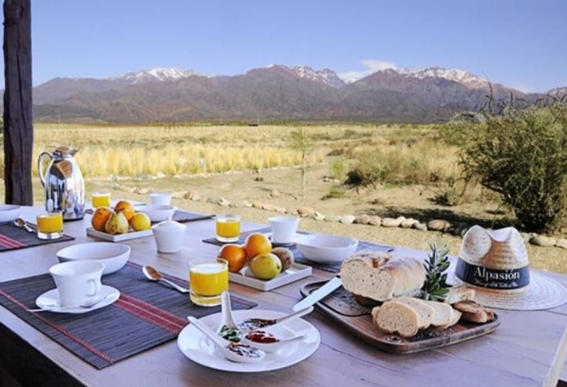 Fotos del hotel Alpasion Lodge:  14