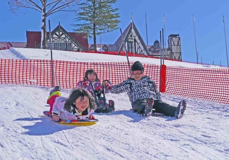 هتل Green Plaza Joetsu