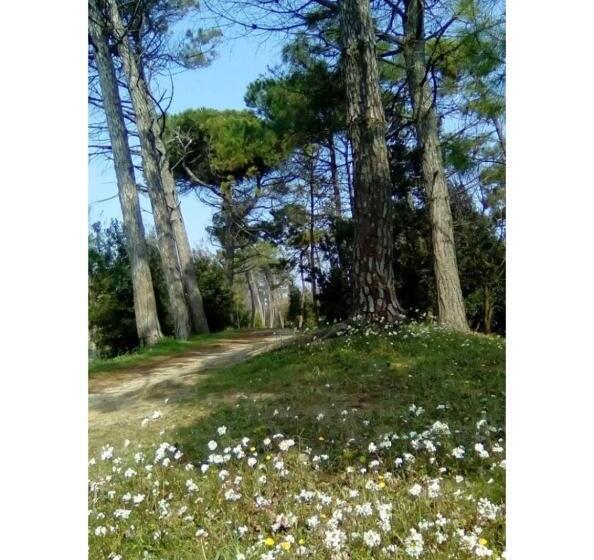 בית מלון כפרי Nazionale