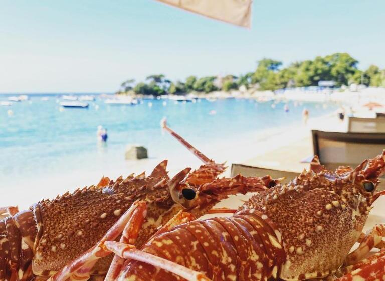 هتل Palm Beach