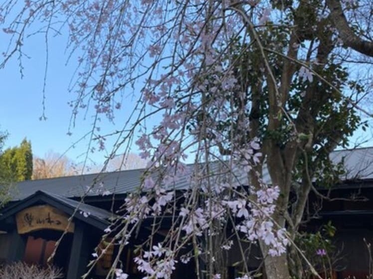 فندق Yufuin Ryoan Wazanhou