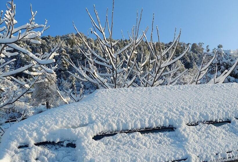 فندق Himalayan High, Auli, By Himalayan Eco Lodges