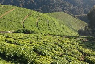 هتل Nyungwe Nziza Ecolodge