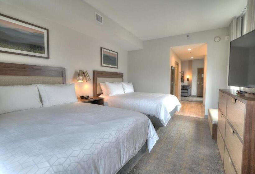 هتل Holiday Inn & Suites Pigeon Forge Convention Center, An Ihg