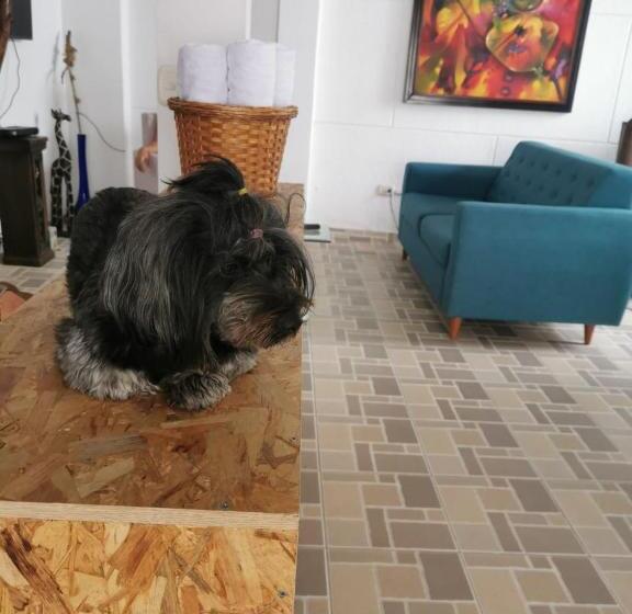 پانسیون Hostel Brisas Del Nevado