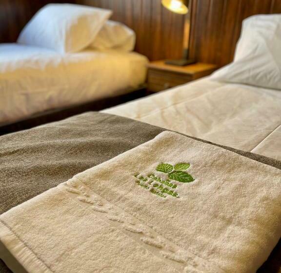 צימר Cabañas Las Lengas