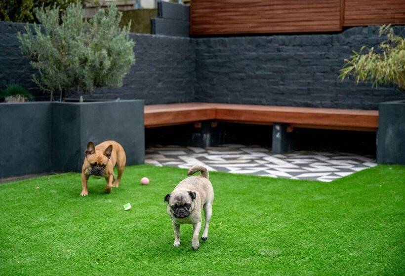 تختخواب و صبحانه Doghouse Margate