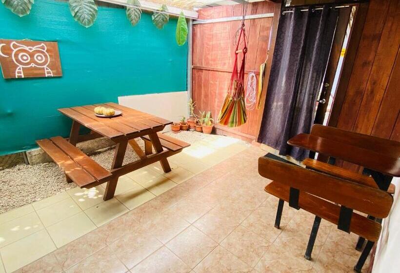 ベッドアンドブレックファースト Gufo Rooms , Apartahotel , La Fortuna Volcan Arenal