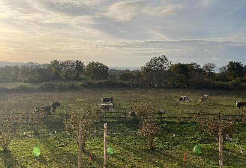 پانسیون Agriturismo Casale Lisalola