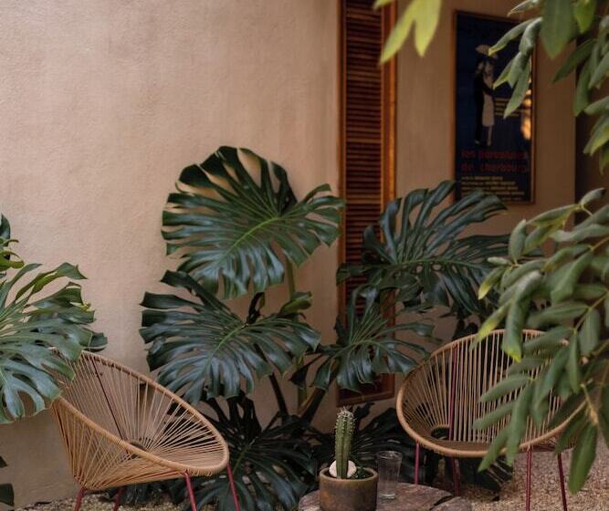 مبيت وإفطار Galopina