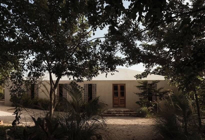 مبيت وإفطار Galopina