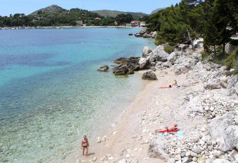 هتل Apartments And Rooms With Parking Space Mlini, Dubrovnik   8835