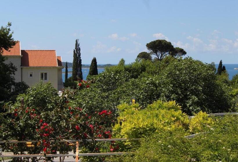 هتل Apartments And Rooms With Parking Space Mlini, Dubrovnik   8835