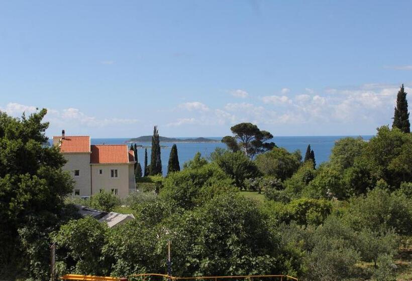 هتل Apartments And Rooms With Parking Space Mlini, Dubrovnik   8835