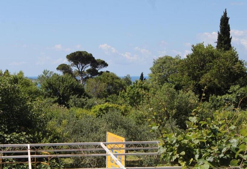 هتل Apartments And Rooms With Parking Space Mlini, Dubrovnik   8835