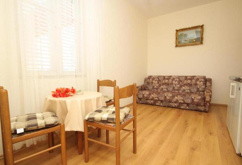 هتل Apartments And Rooms With Parking Space Mlini, Dubrovnik   8835