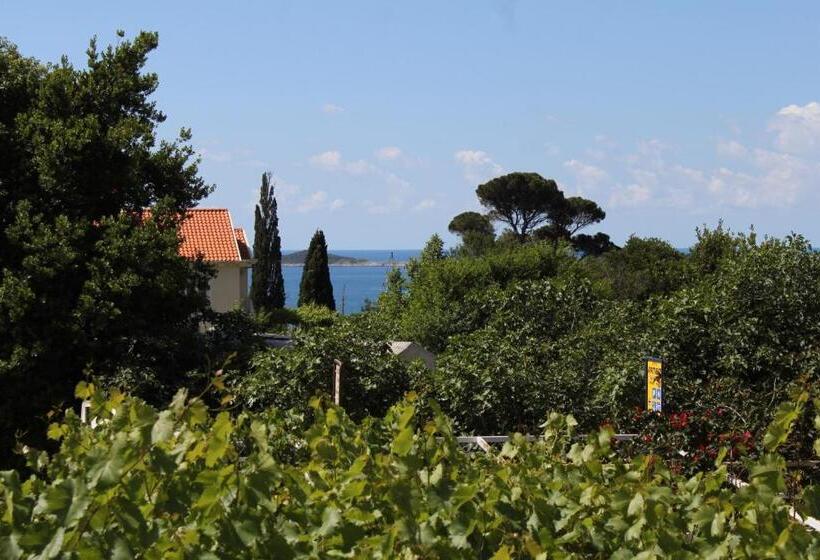 هتل Apartments And Rooms With Parking Space Mlini, Dubrovnik   8835