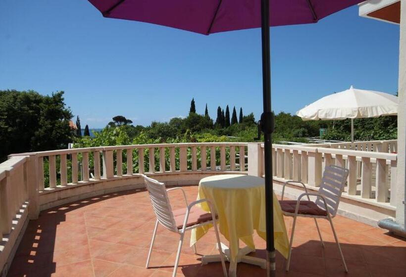هتل Apartments And Rooms With Parking Space Mlini, Dubrovnik   8835