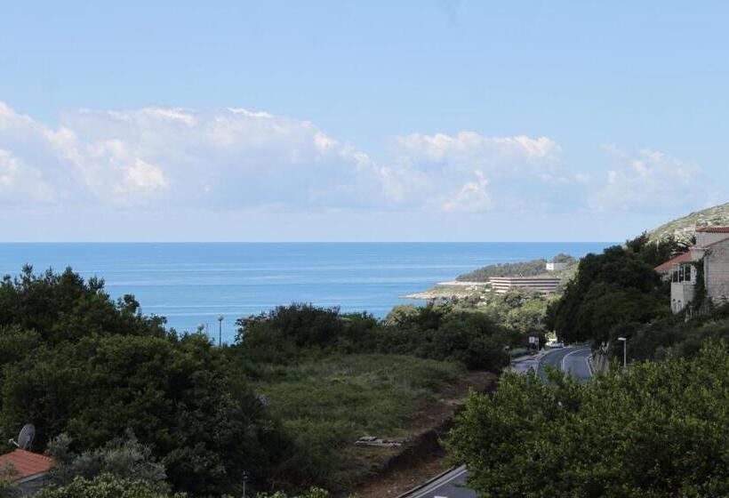 هتل Apartments And Rooms With Parking Space Mlini, Dubrovnik   8835