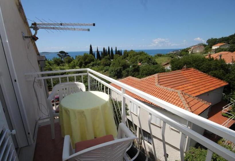هتل Apartments And Rooms With Parking Space Mlini, Dubrovnik   8835