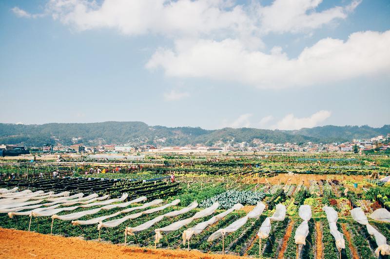 فندق Azalea Residences Baguio