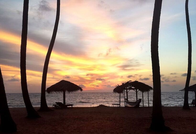 ホテル Carolina Beach Resort & Spa