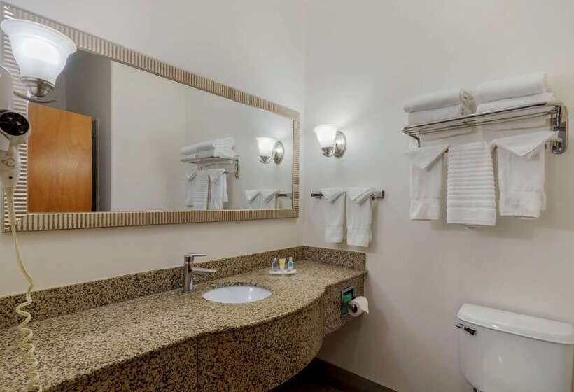 هتل Comfort Suites Stockbridge Atlanta South