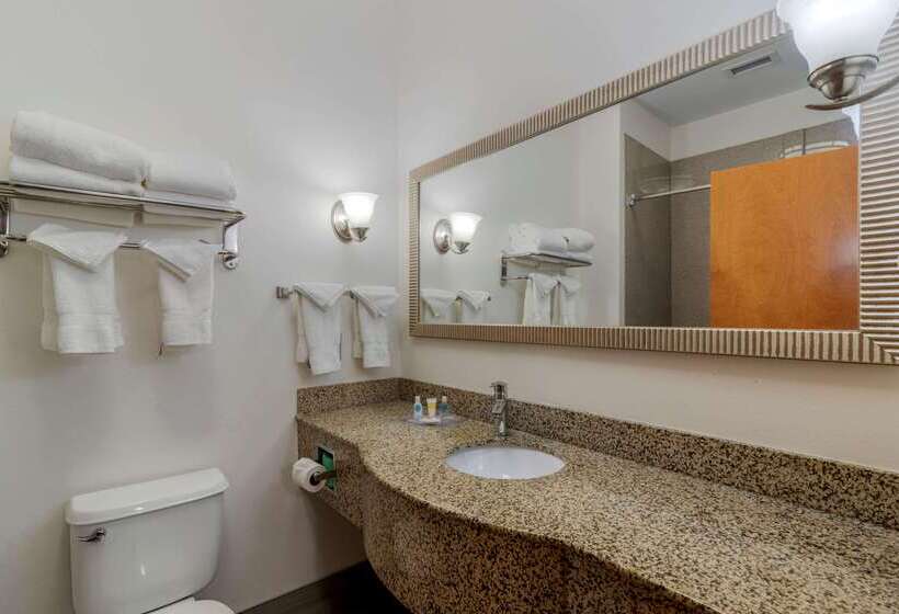 هتل Comfort Suites Stockbridge Atlanta South