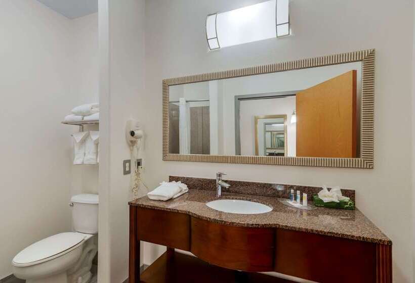 هتل Comfort Suites Stockbridge Atlanta South
