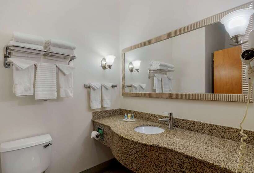 هتل Comfort Suites Stockbridge Atlanta South