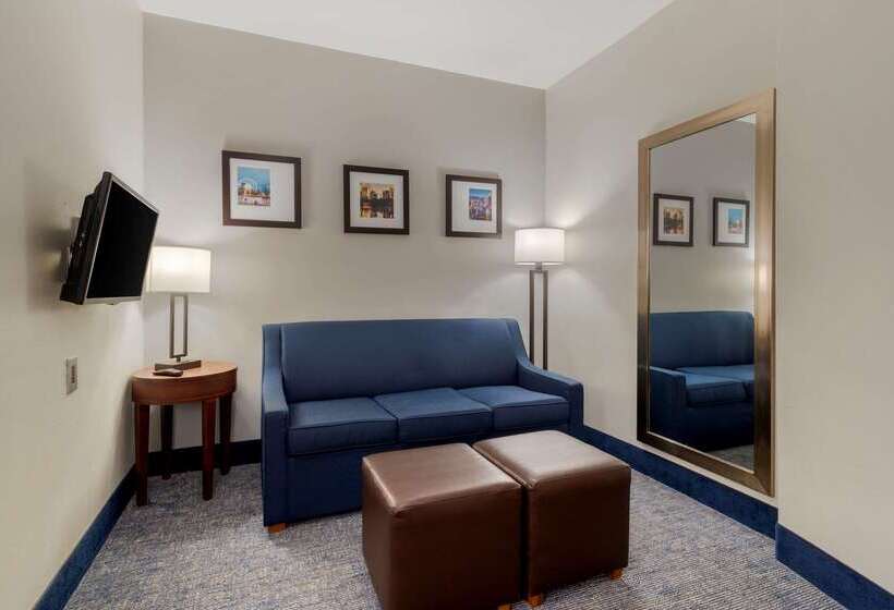 هتل Comfort Suites Stockbridge Atlanta South