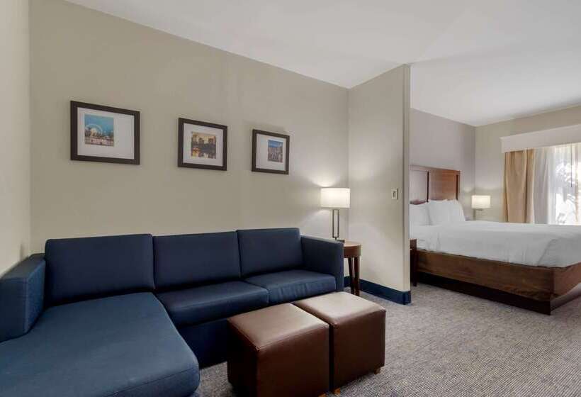 هتل Comfort Suites Stockbridge Atlanta South