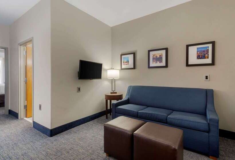 هتل Comfort Suites Stockbridge Atlanta South
