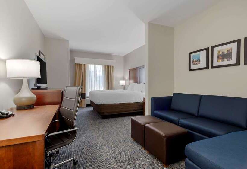 هتل Comfort Suites Stockbridge Atlanta South