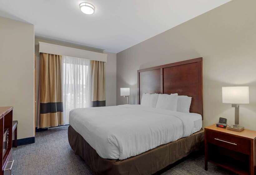 هتل Comfort Suites Stockbridge Atlanta South