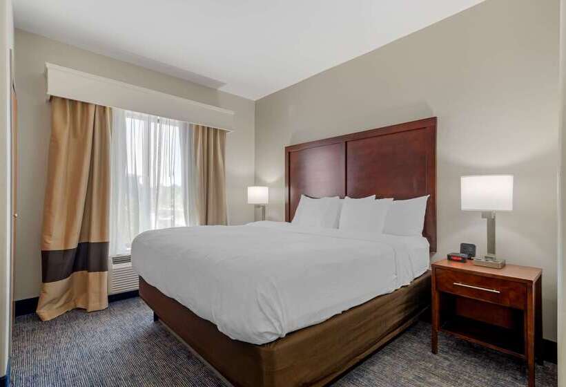 هتل Comfort Suites Stockbridge Atlanta South